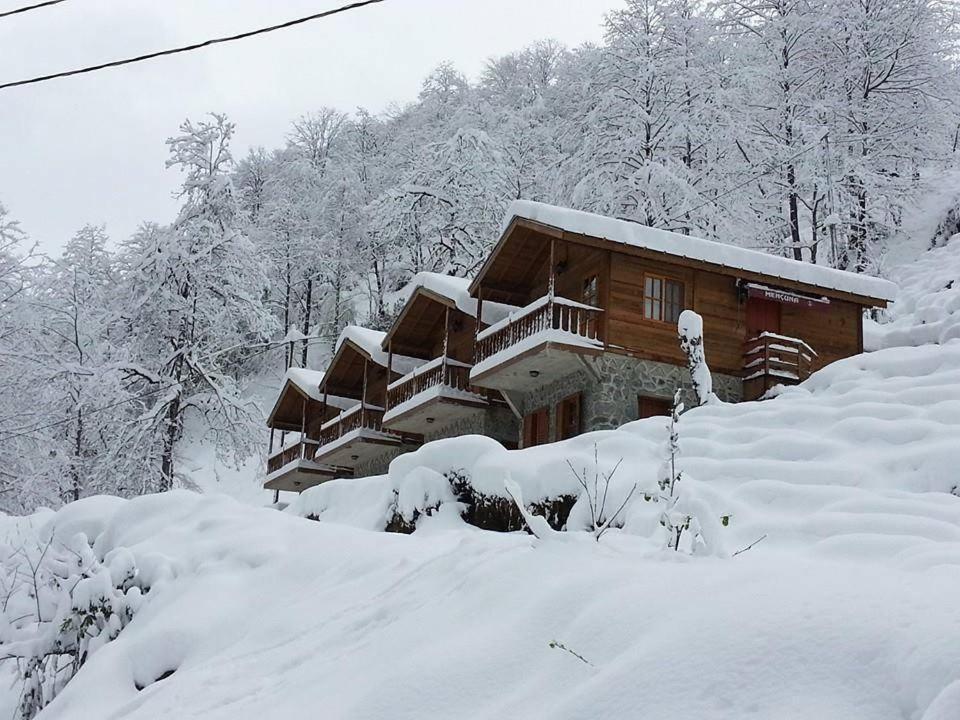 Mencuna Konaklari Arhavi Exterior foto